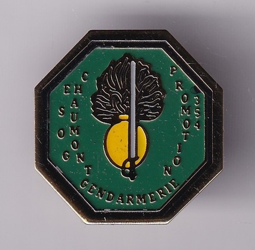 Rare pins pin gendarmerie - rare, pin's