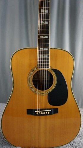 Pro martin 250 vintage mij - pro,