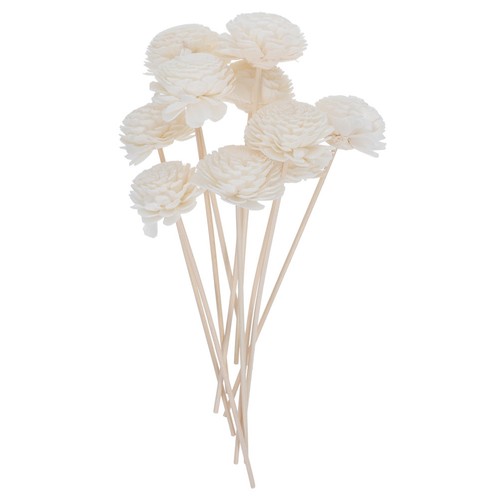 Pcs diffuseur fleurs - pcs,
