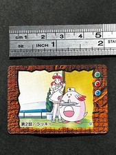 Nurse Joy Chansey Pokemon