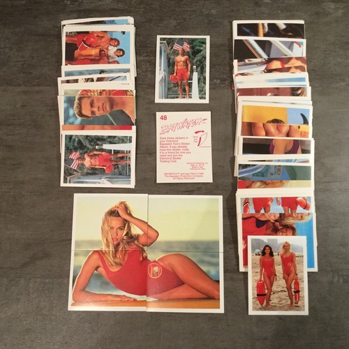 Alerte malibu baywatch - alerte, malibu-baywatch