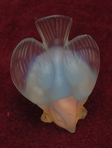 Rare magnifique ancien oiseaux - rare,
