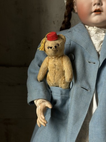 Petit ours steiff teddy - ours, 14