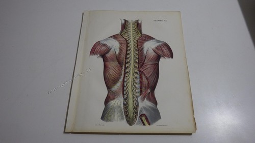 1850 lithographie couleur - 1850.lithographie,