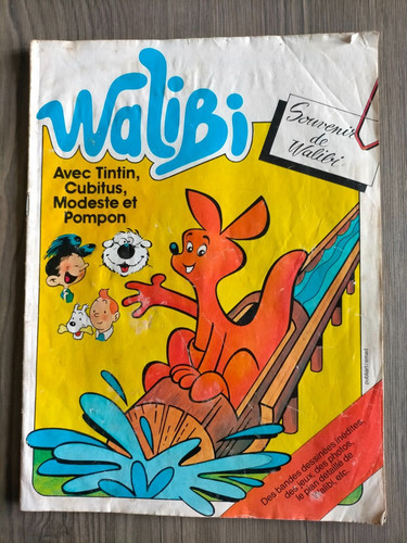 Livre walibi temple du - le,