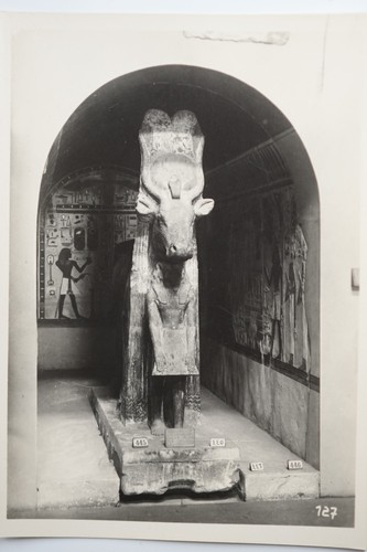 Photo argentique egypte - photo, musée