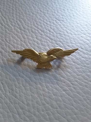 Insigne aviation charognard - aviation,