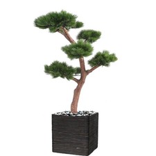 Bonsaï Pin Artificiel H 150