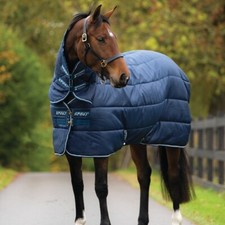 Horseware Amigo Insulator heavy with Hood 350g - Marine/Blanc - Couverture d'écu