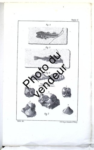 Géologie 1885 le terrain - 1885.,