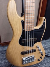 Guitare électrique 5 cordes