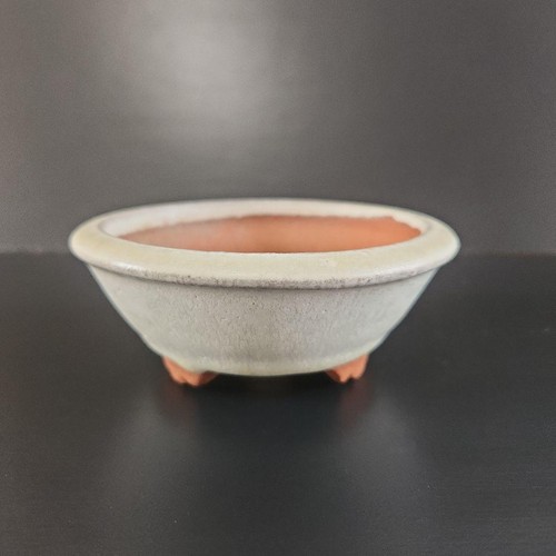 Petit bonsaï pot - petit,