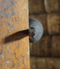 fin FER À DORER   .  FLEURON  EN BRONZE. ref C1 ETAT PARFAIT