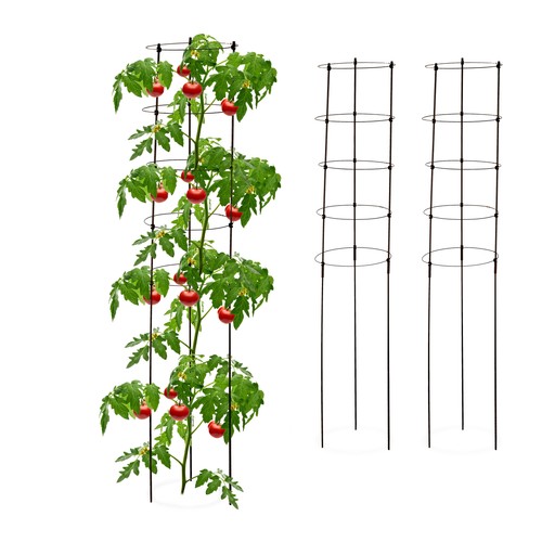 Tuteur tomates aide - tomates, croissance