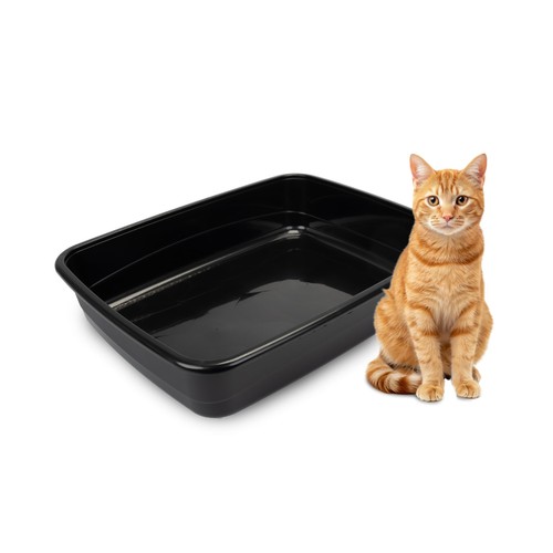 Bac litiere pour chat - pour, chat,