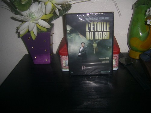 Etoile nord avec philippe - l'etoile,