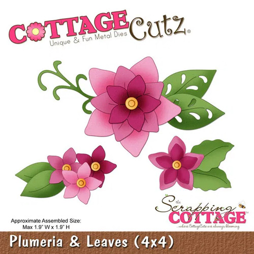 Die cut big shot - die-cut,
