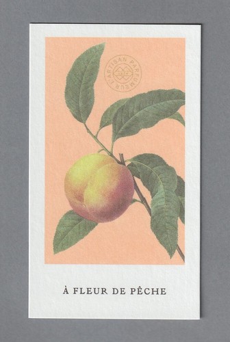 Carte publicitaire a fleur - publicitaire,