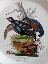 Portmeirion Birds of britain