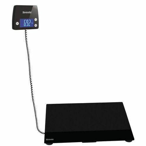 Balance professionnelle - , en