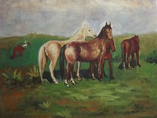 Chevaux dans Le Champ Large