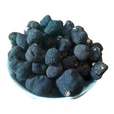 Truffe Noir Accro Cool II