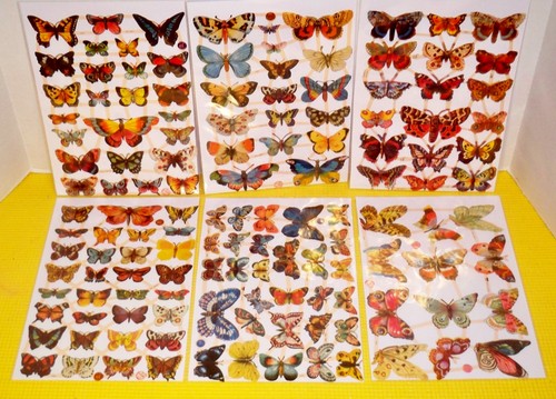 126 butterflies sheets - butterflies, 6