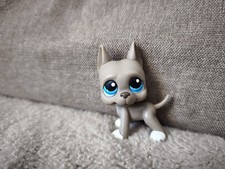Authentique littlest pet - authentique,