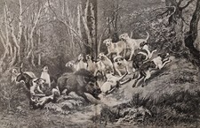 Estampe XIXème double page