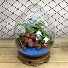 Vase à fleurs en forme d'oeuf