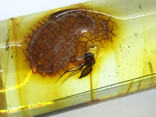 PENDENTIF AMBRE baril cadeau