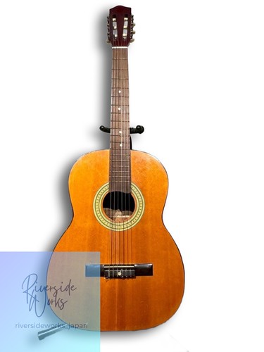 Valencia guitar melody plus - guitar,