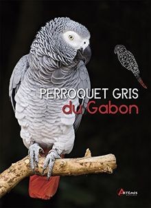 Perroquet gris gabon de - gabon,