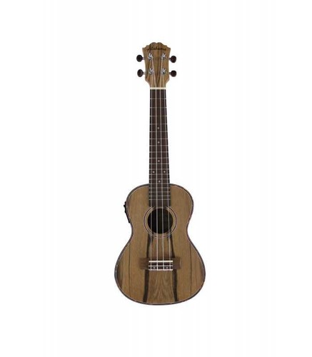 Ukulele concert electro - ukulele,