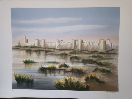 Zarou lithographie - -,