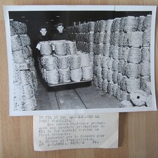 PHOTO DE PRESSE ORIGINALE 1940 ANGLETERRE FIL DE FER BARBELÉ  POUR LA FRANCE