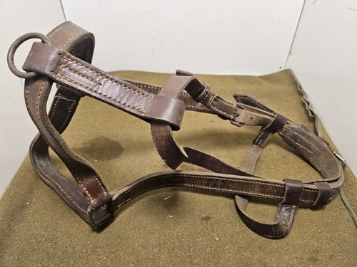 Licol reithalfter allemand - licol,