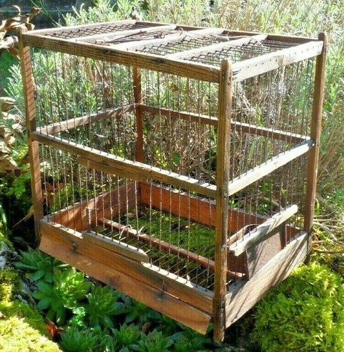 Ancienne cage oiseaux en - ancienne, à