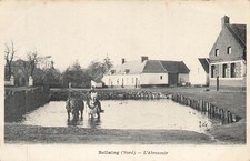 59 BELLAING ABREUVOIR -
