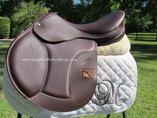 Luc childeric fmp - 18", close