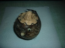 poisson perroquet / lune /