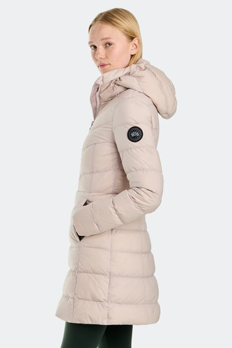 New canada goose - ,, clair