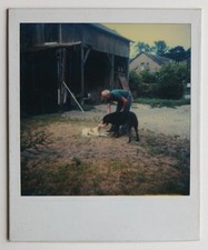 Chiens homme garage bois campagne nature - Polaroid couleur style Tarkovski