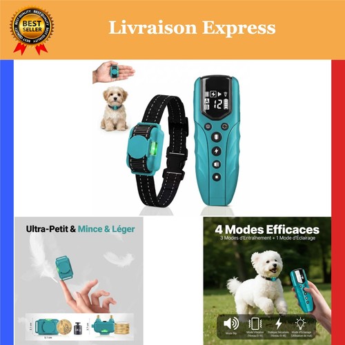 Collier dressage chien avec - collier,