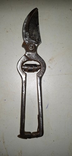 Secateur ancien de - ,