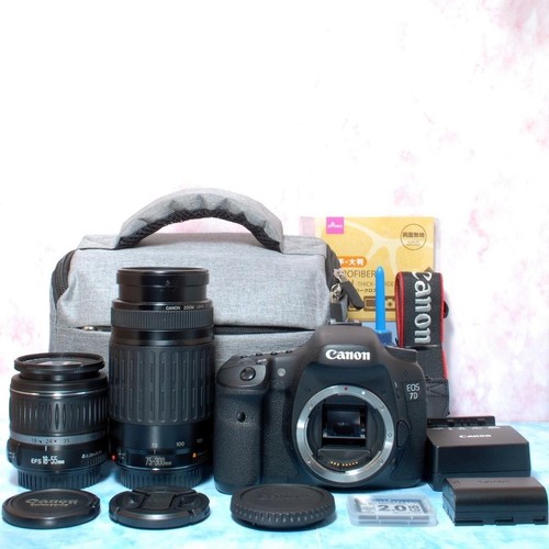 Appareil photo reflex