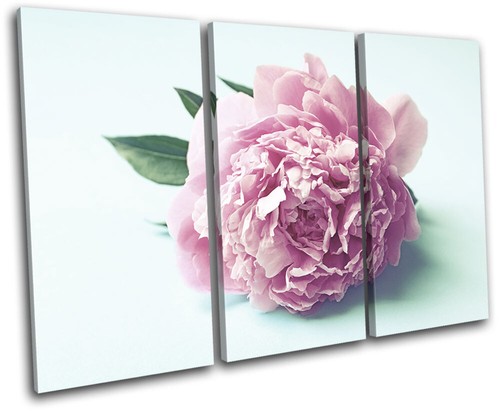 Vintage flower retro botanical - flower,