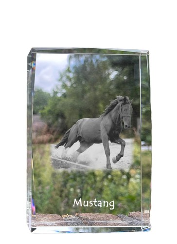 Mustang cristal avec - mustang, einem