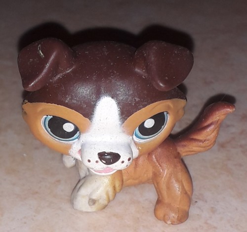 Petshop chien colley - , 237