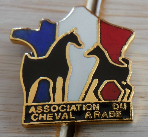 Rare pin equitation - rare, carte